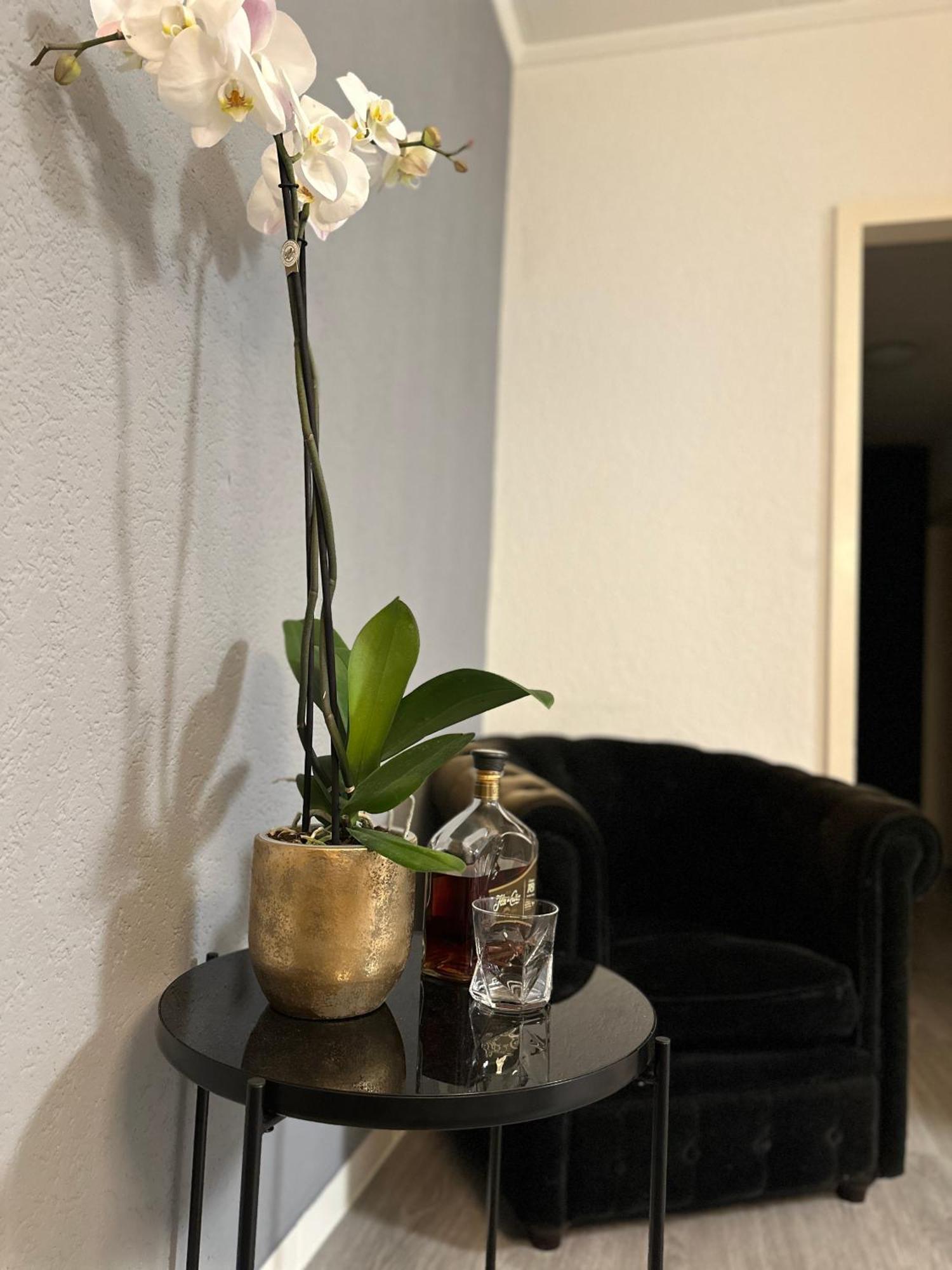 Lindo Apartamento En El Centro De Лозана Екстериор снимка